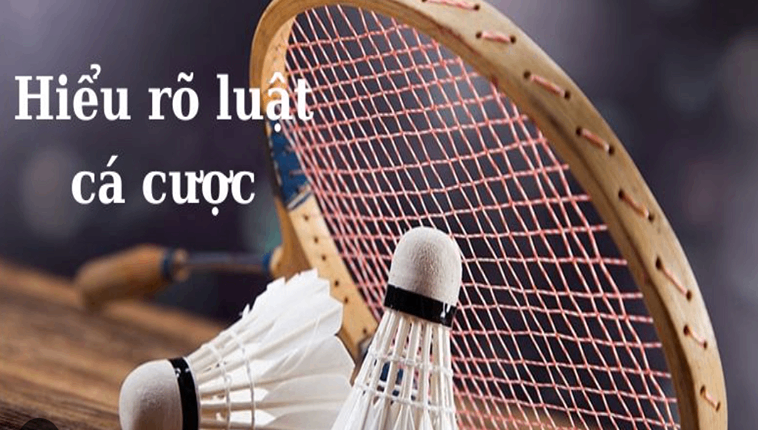Cách Chơi Cá Cược Cầu Lông Tại OPPA888: Bí Kíp Thắng Lớn Cho Tân Thủ